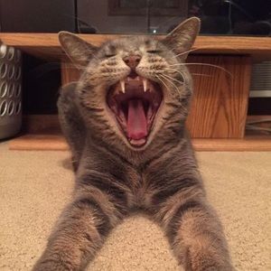 Meet your Posher, Joseph